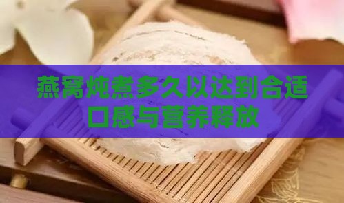 燕窝炖煮多久以达到合适口感与营养释放