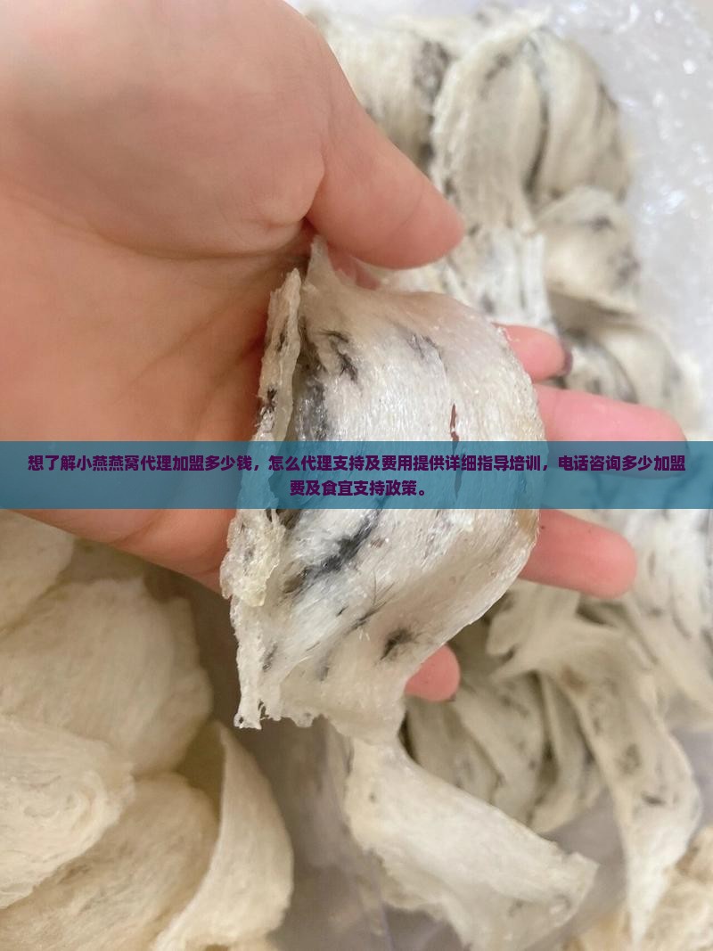 想了解小燕燕窝代理加盟多少钱，怎么代理支持及费用提供详细指导培训，电话咨询多少加盟费及食宜支持政策。
