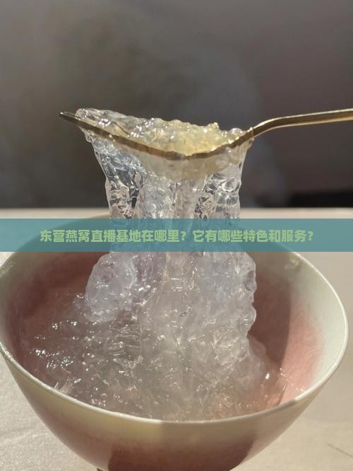 东营燕窝直播基地在哪里？它有哪些特色和服务？
