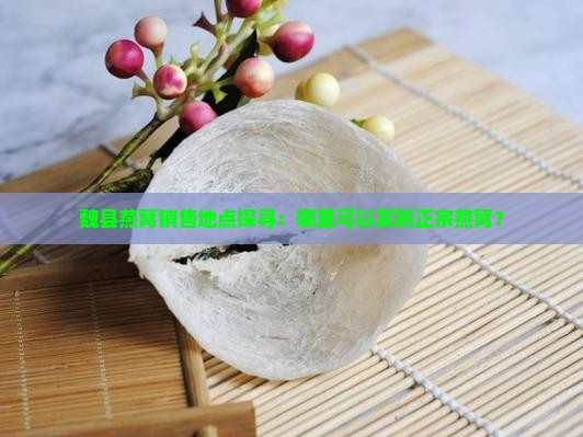 魏县燕窝销售地点探寻：哪里可以买到正宗燕窝？