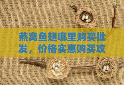 燕窝鱼翅哪里购买批发，价格实惠购买攻略
