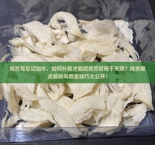 炖燕窝忘记加水，如何补救才能避免燕窝炖干失败？炖煮痛点解析与救星技巧大公开！