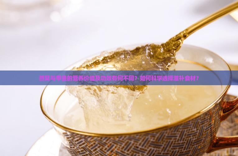 燕窝与甲鱼的营养价值及功效有何不同？如何科学选择滋补食材？