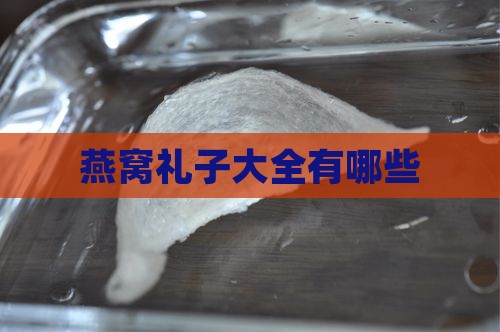 燕窝礼子大全有哪些
