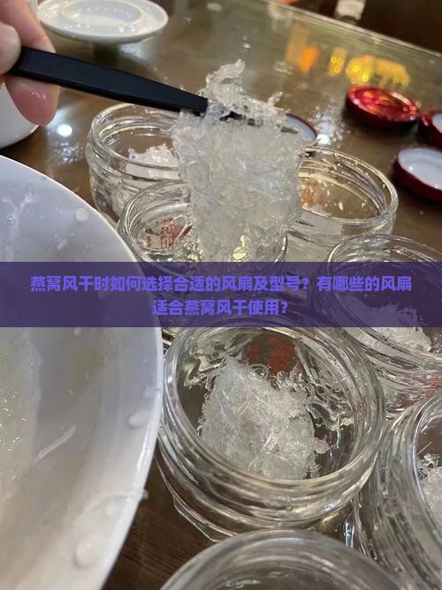 燕窝风干时如何选择合适的风扇及型号？有哪些的风扇适合燕窝风干使用？