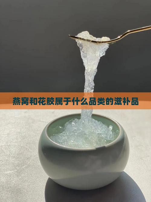 燕窝和花胶属于什么品类的滋补品