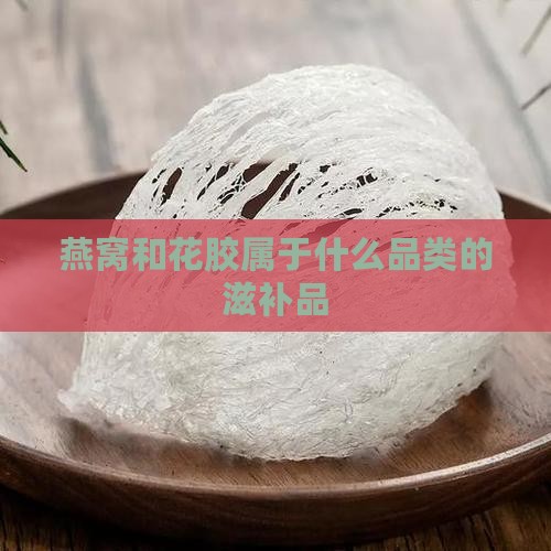 燕窝和花胶属于什么品类的滋补品