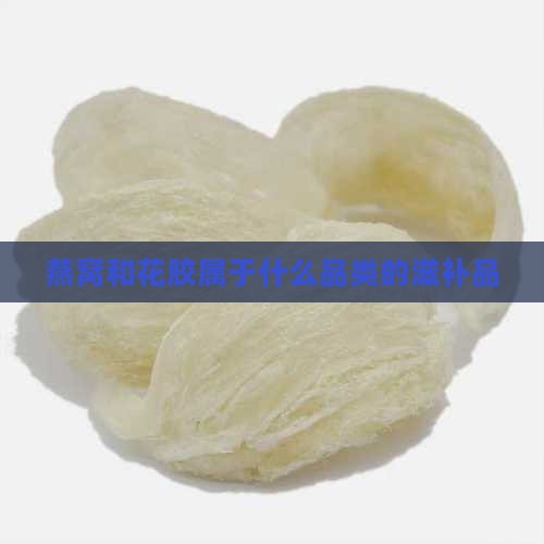 燕窝和花胶属于什么品类的滋补品