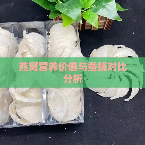 燕窝营养价值与蚕蛹对比分析