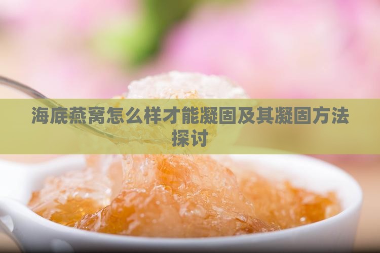 海底燕窝怎么样才能凝固及其凝固方法探讨