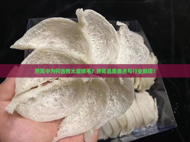 燕窝中为何含有大量绒毛？燕窝品质痛点与行业新词！