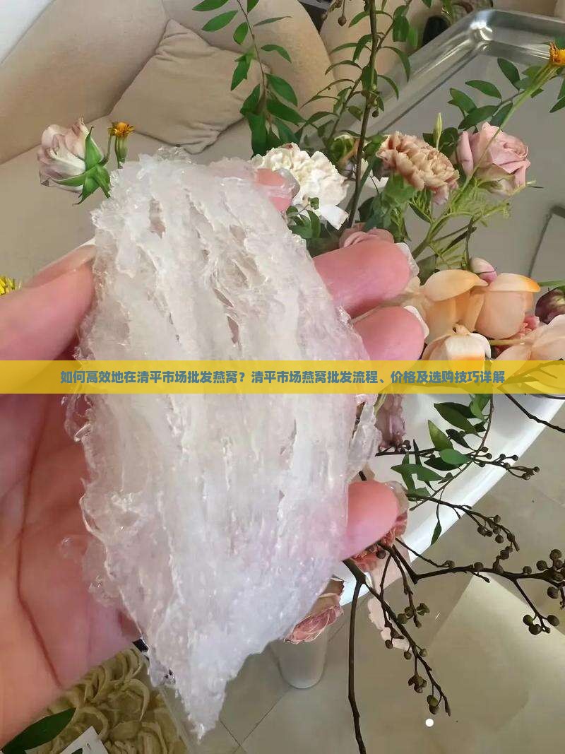 如何高效地在清平市场批发燕窝？清平市场燕窝批发流程、价格及选购技巧详解