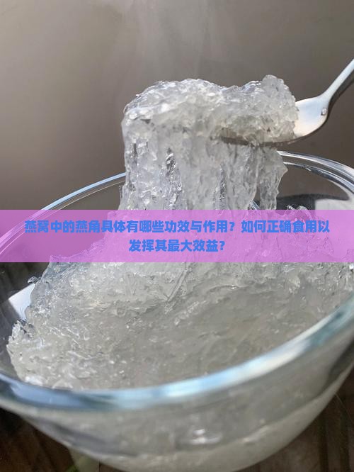 燕窝中的燕角具体有哪些功效与作用？如何正确食用以发挥其最大效益？