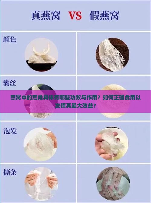 燕窝中的燕角具体有哪些功效与作用？如何正确食用以发挥其最大效益？