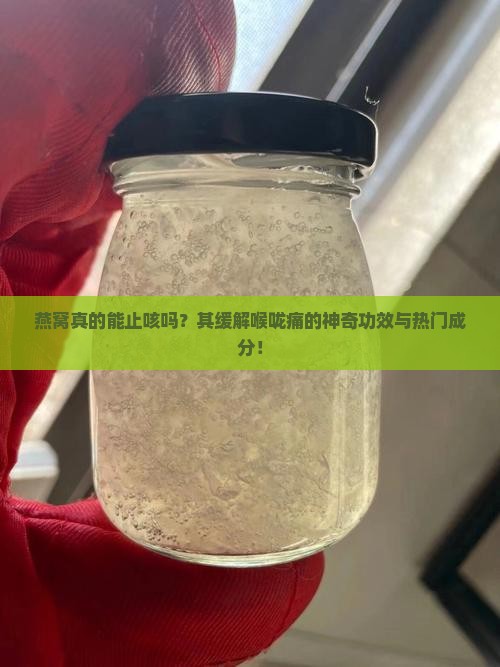 燕窝真的能止咳吗？其缓解喉咙痛的神奇功效与热门成分！