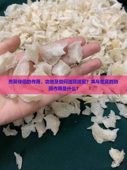 燕窝伴侣的作用、功效及如何选择搭配？其与燕窝的协同作用是什么？