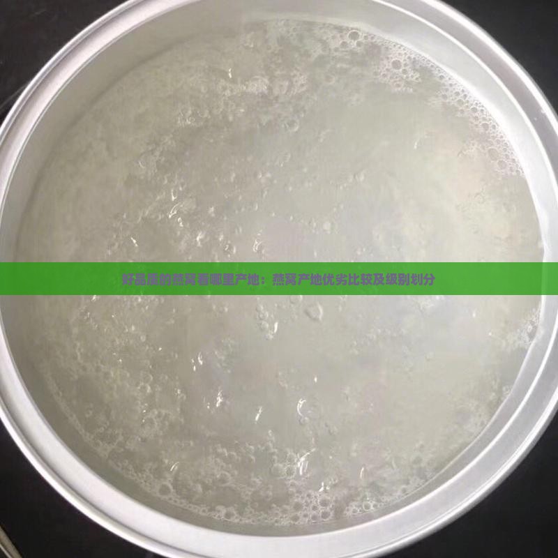 好品质的燕窝看哪里产地：燕窝产地优劣比较及级别划分