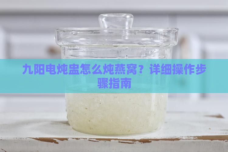 九阳电炖盅怎么炖燕窝？详细操作步骤指南