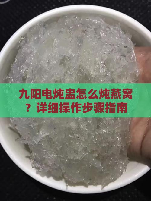 九阳电炖盅怎么炖燕窝？详细操作步骤指南