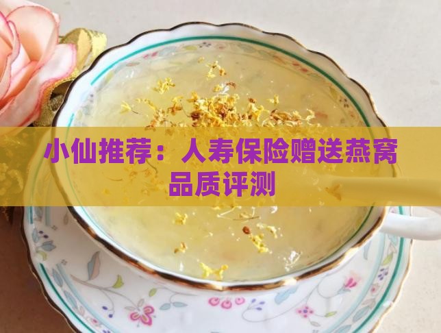 小仙推荐：人寿保险赠送燕窝品质评测