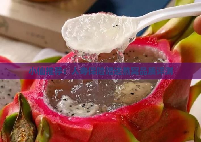小仙推荐：人寿保险赠送燕窝品质评测