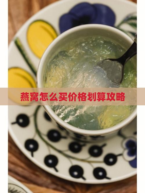 燕窝怎么买价格划算攻略