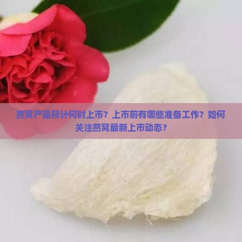 燕窝产品预计何时上市？上市前有哪些准备工作？如何关注燕窝最新上市动态？