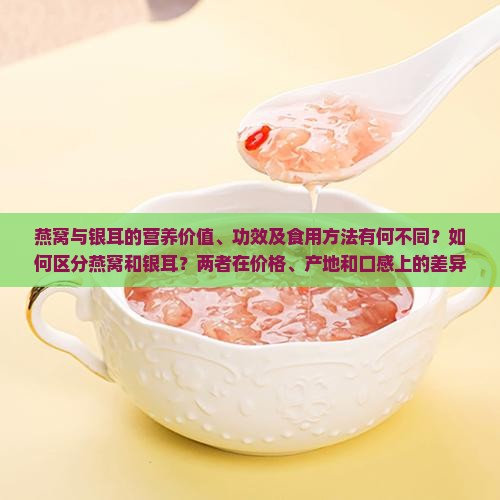 燕窝与银耳的营养价值、功效及食用方法有何不同？如何区分燕窝和银耳？两者在价格、产地和口感上的差异是什么？