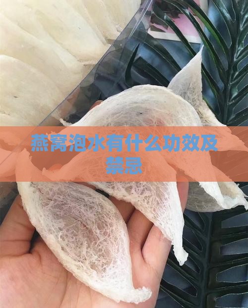 燕窝泡水有什么功效及禁忌