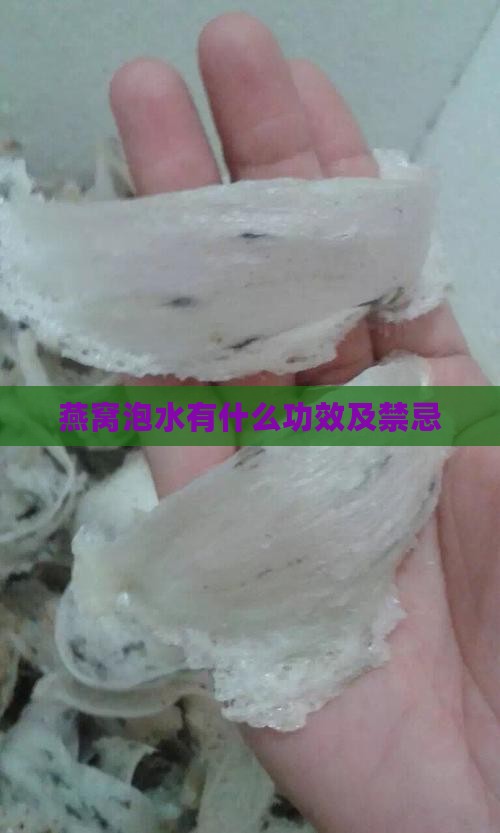 燕窝泡水有什么功效及禁忌