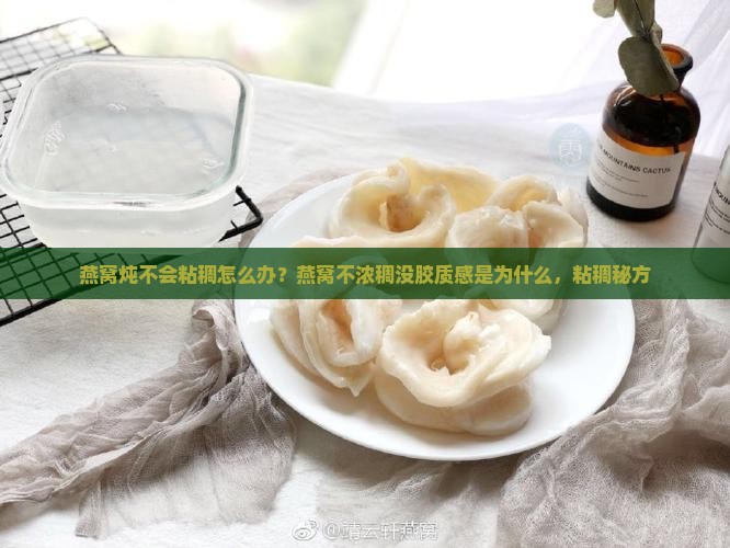 燕窝炖不会粘稠怎么办？燕窝不浓稠没胶质感是为什么，粘稠秘方