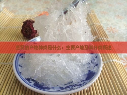 燕窝的产地种类是什么：主要产地及其分类概述