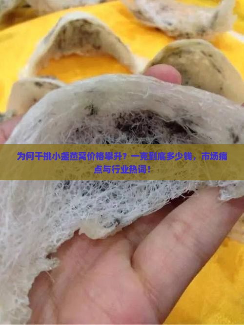为何干挑小盏燕窝价格攀升？一克到底多少钱，市场痛点与行业热词！