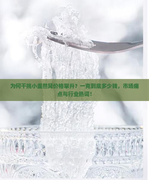 为何干挑小盏燕窝价格攀升？一克到底多少钱，市场痛点与行业热词！