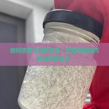 如何培育文哥燕窝果?掌握种植技巧解决市场痛点! 如何培育文哥燕窝果?掌握种植技巧解决市场痛点!