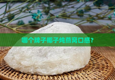 哪个牌子椰子炖燕窝口感？