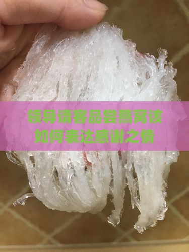 领导请客品尝燕窝该如何表达感谢之情