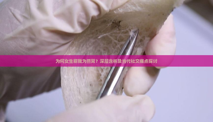 为何女生称我为燕窝？深层含析及当代社交痛点探讨