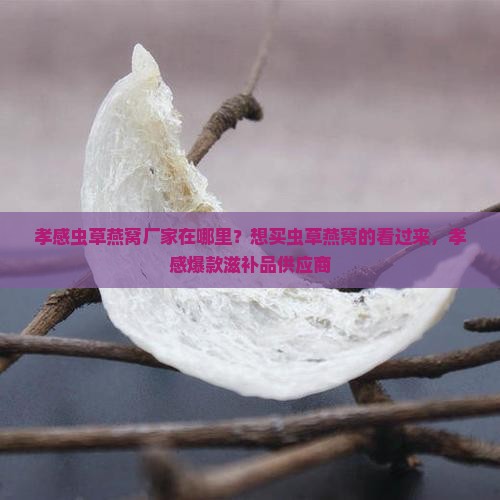 孝感虫草燕窝厂家在哪里？想买虫草燕窝的看过来，孝感爆款滋补品供应商