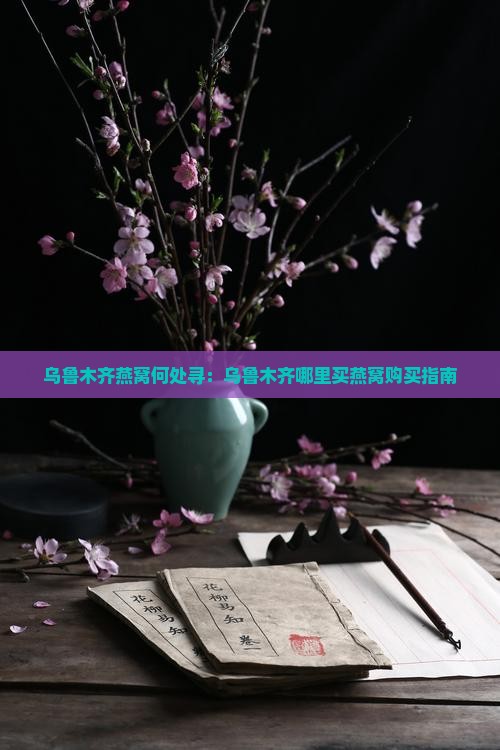 乌鲁木齐燕窝何处寻：乌鲁木齐哪里买燕窝购买指南
