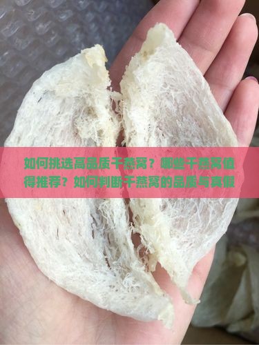 如何挑选高品质干燕窝？哪些干燕窝值得推荐？如何判断干燕窝的品质与真假？