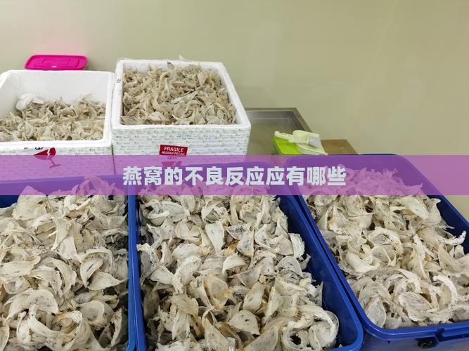 燕窝的不良反应应有哪些