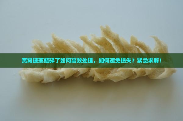 燕窝玻璃瓶碎了如何高效处理，如何避免损失？紧急求解！