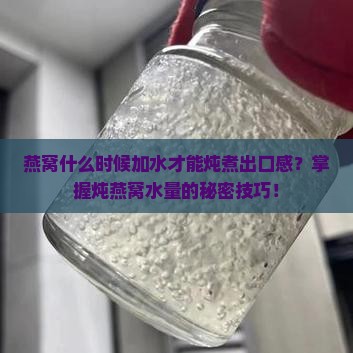 燕窝什么时候加水才能炖煮出口感？掌握炖燕窝水量的秘密技巧！