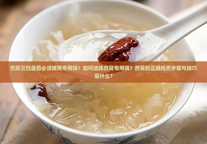 燕窝烹饪是否必须使用专用锅？如何选择燕窝专用锅？燕窝的正确炖煮步骤与技巧是什么？