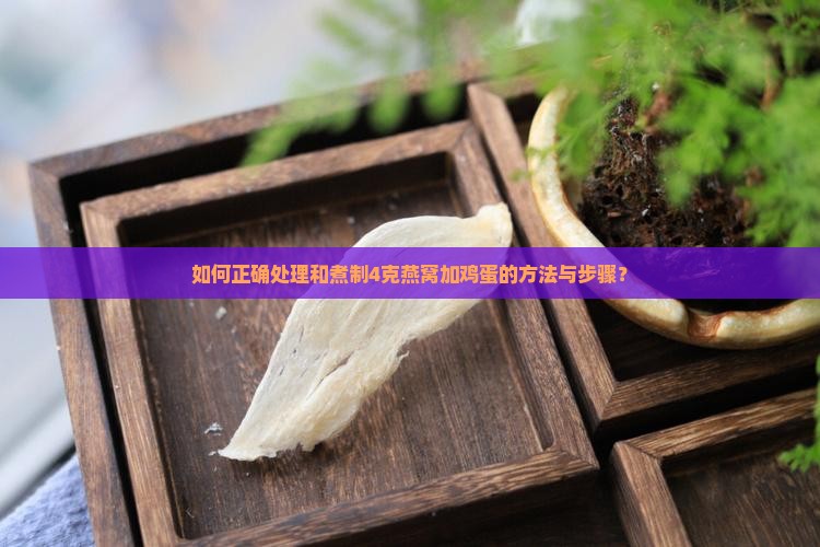 如何正确处理和煮制4克燕窝加鸡蛋的方法与步骤？