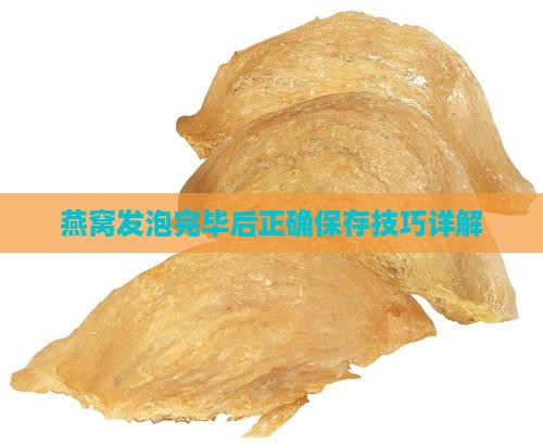 燕窝发泡完毕后正确保存技巧详解