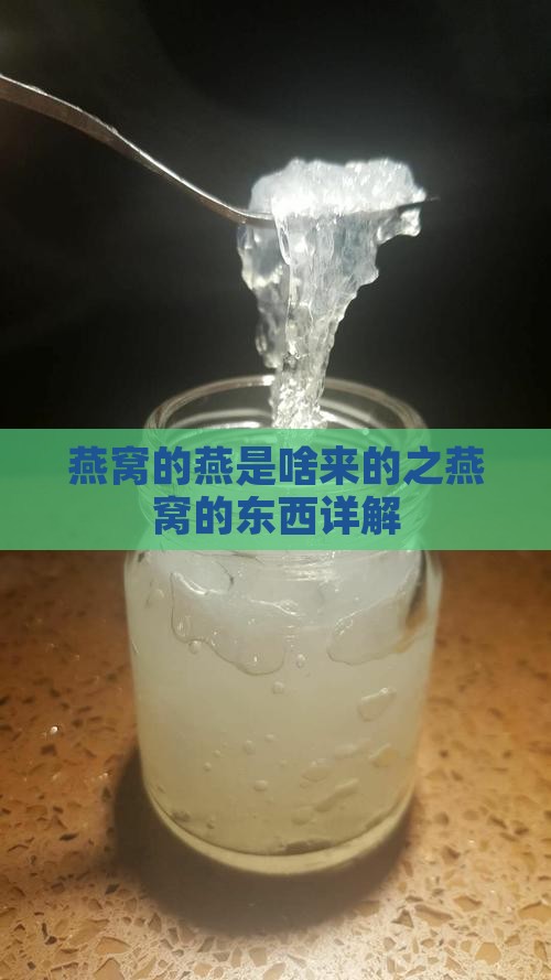 燕窝的燕是啥来的之燕窝的东西详解