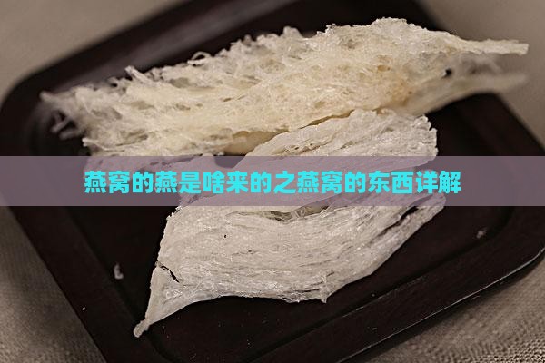 燕窝的燕是啥来的之燕窝的东西详解