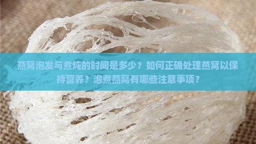 燕窝泡发与煮炖的时间是多少？如何正确处理燕窝以保持营养？泡煮燕窝有哪些注意事项？